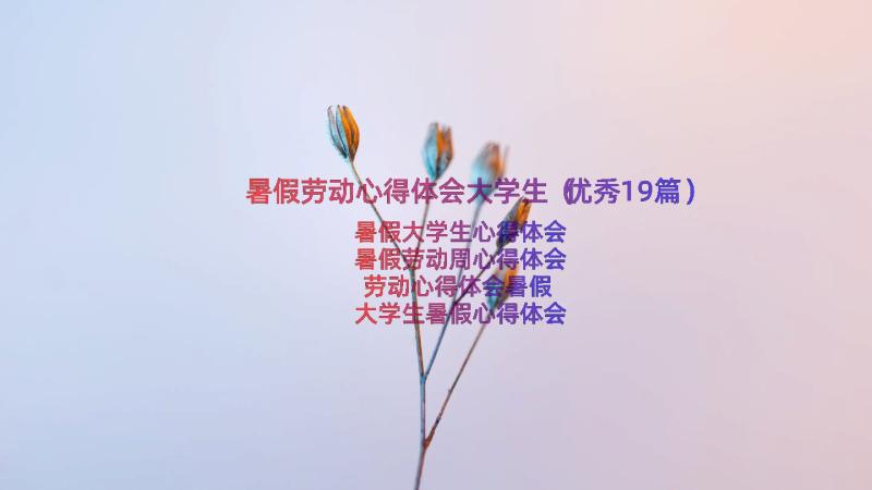 暑假劳动心得体会大学生（优秀19篇）