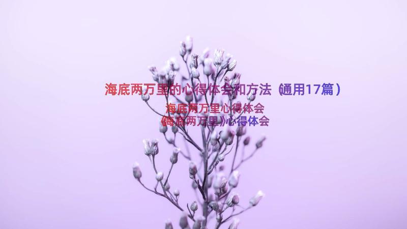 海底两万里的心得体会和方法（通用17篇）