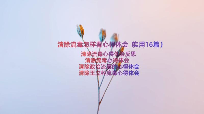 清除流毒怎样看心得体会（实用16篇）