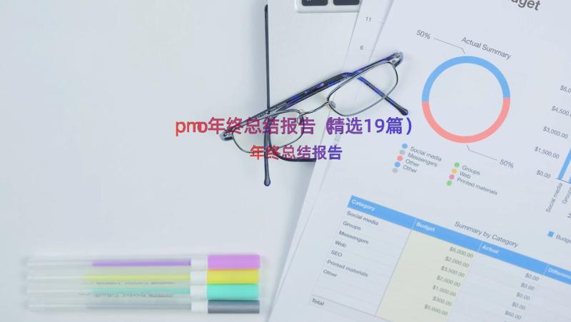 pmo年终总结报告（精选19篇）