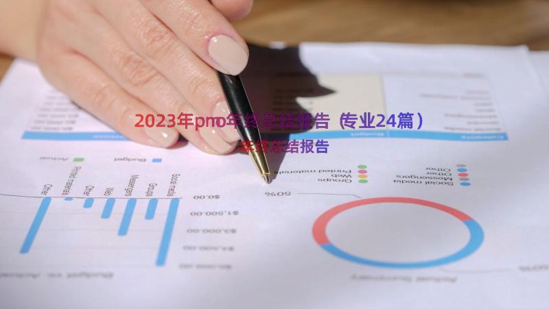 2023年pmo年终总结报告（专业24篇）