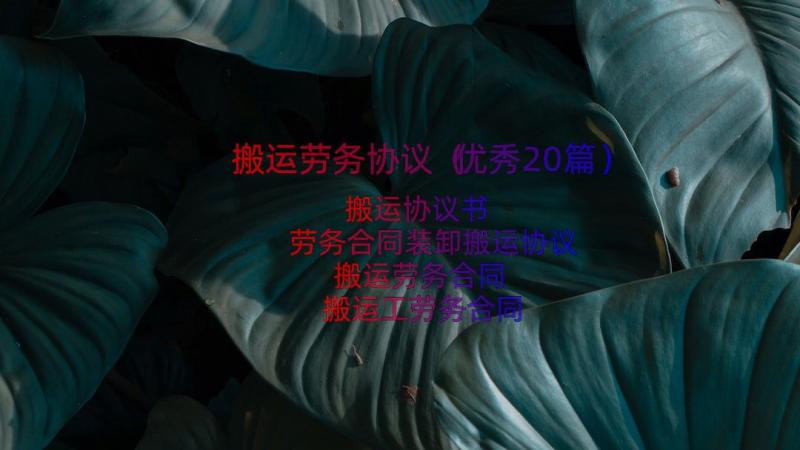 搬运劳务协议（优秀20篇）