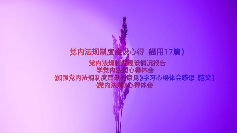 党内法规制度建设心得（通用17篇）