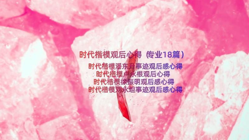 时代楷模观后心得（专业18篇）