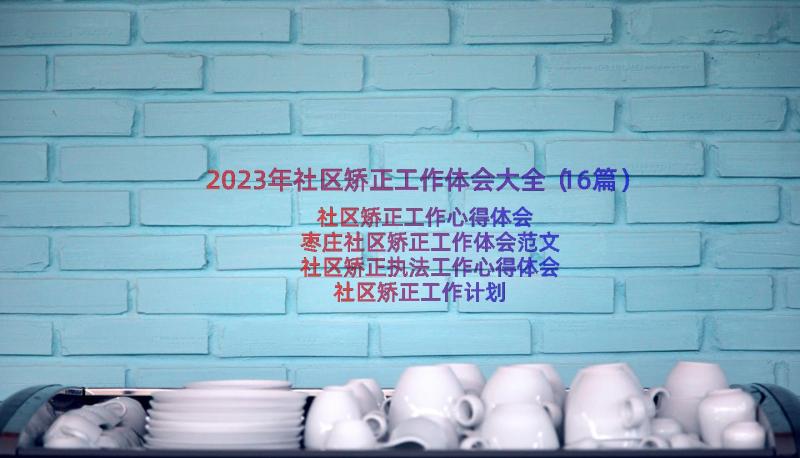 2023年社区矫正工作体会大全（16篇）