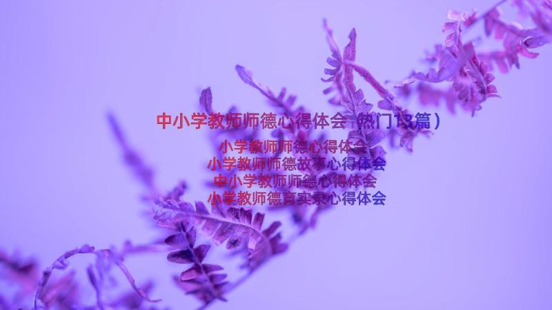 中小学教师师德心得体会（热门13篇）