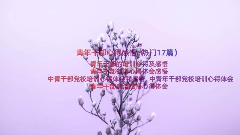 青年干部心得感悟（热门17篇）