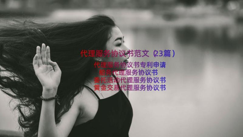 代理服务协议书范文（23篇）