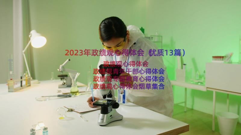 2023年政绩观心得体会（优质13篇）