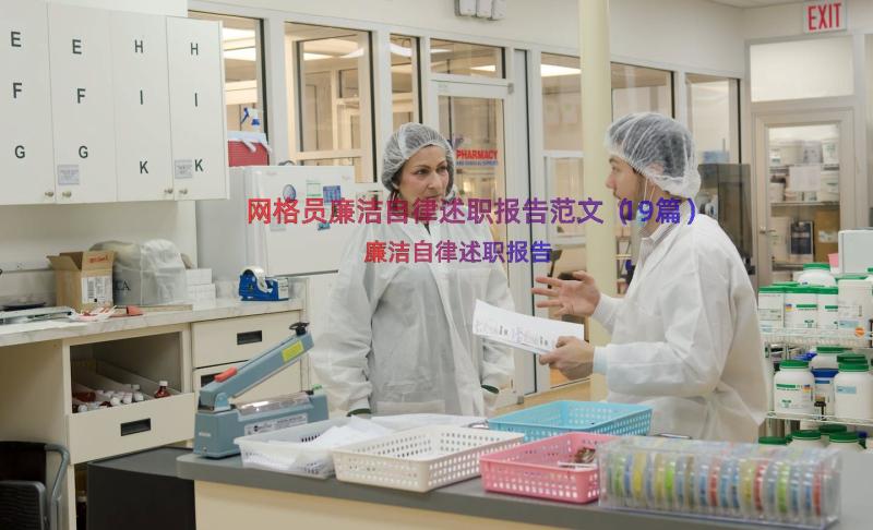 网格员廉洁自律述职报告范文（19篇）