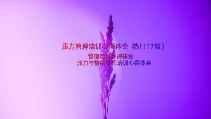 压力管理培训心得体会（热门17篇）