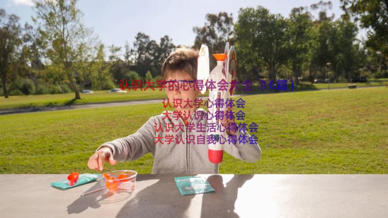 认识大学的心得体会大全（16篇）