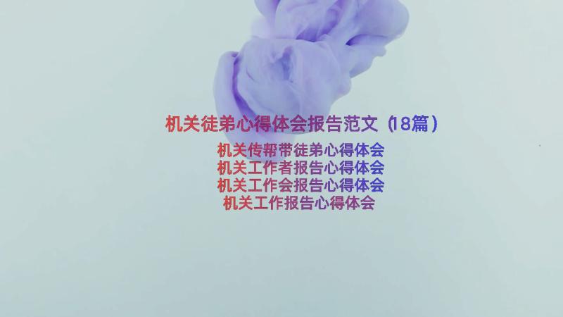 机关徒弟心得体会报告范文（18篇）