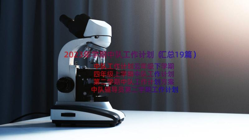 2023年学期中队工作计划（汇总19篇）