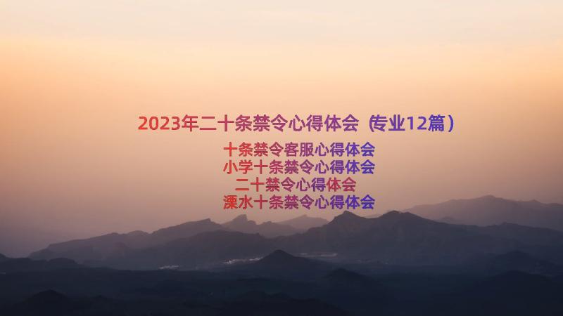 2023年二十条禁令心得体会（专业12篇）