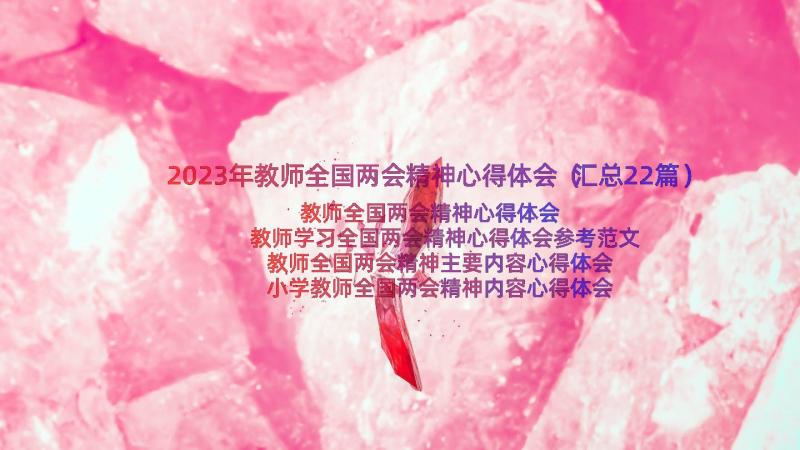 2023年教师全国两会精神心得体会（汇总22篇）