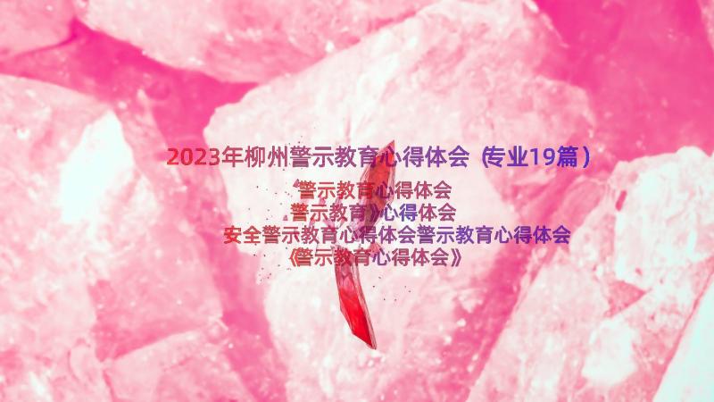 2023年柳州警示教育心得体会（专业19篇）