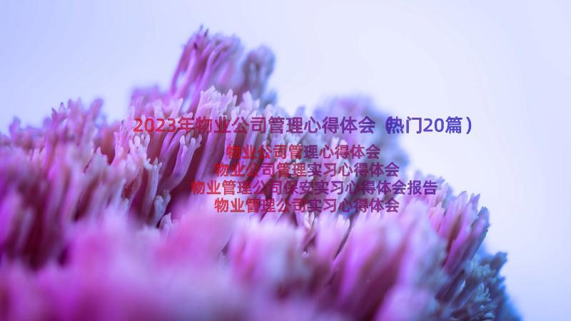 2023年物业公司管理心得体会（热门20篇）