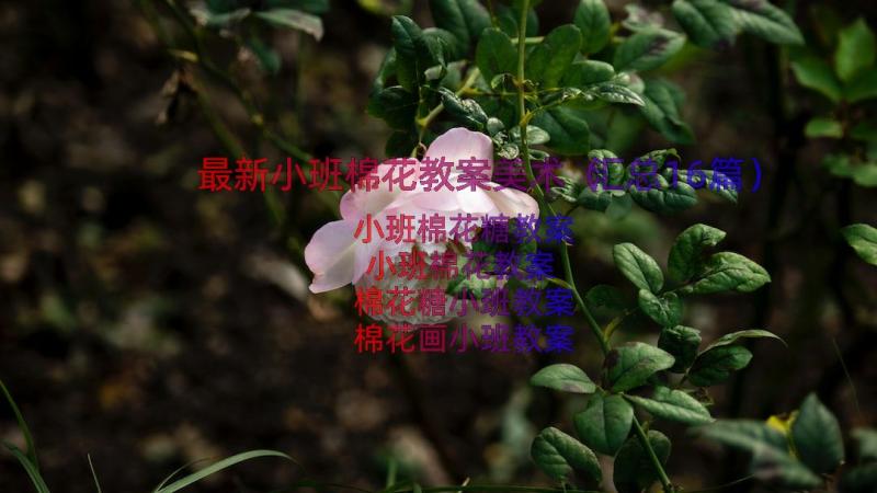 最新小班棉花教案美术（汇总16篇）