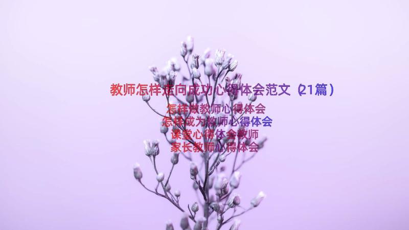 教师怎样走向成功心得体会范文（21篇）