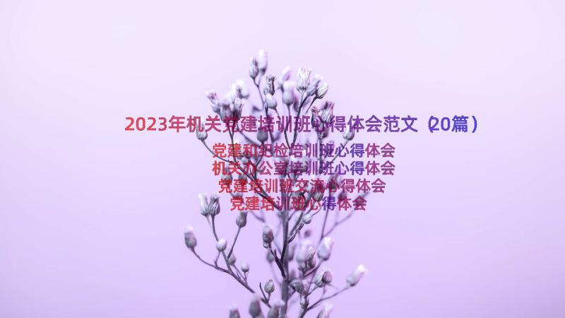 2023年机关党建培训班心得体会范文（20篇）