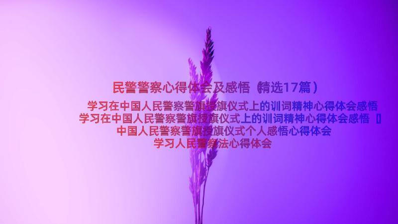 民警警察心得体会及感悟（精选17篇）