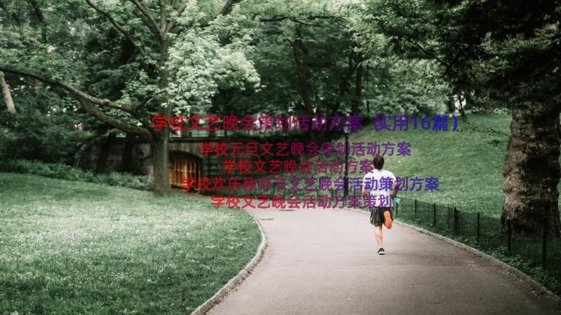 学校文艺晚会策划活动方案（实用16篇）