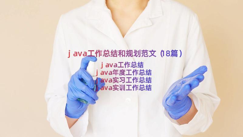 java工作总结和规划范文（18篇）