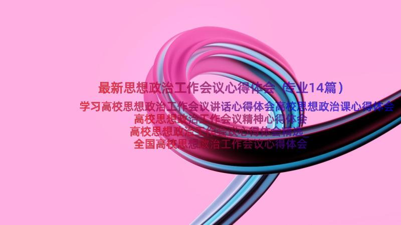 最新思想政治工作会议心得体会（专业14篇）