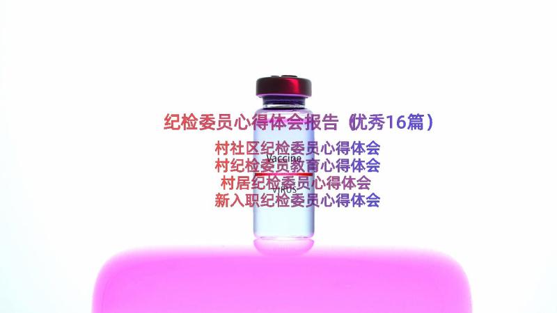 纪检委员心得体会报告（优秀16篇）