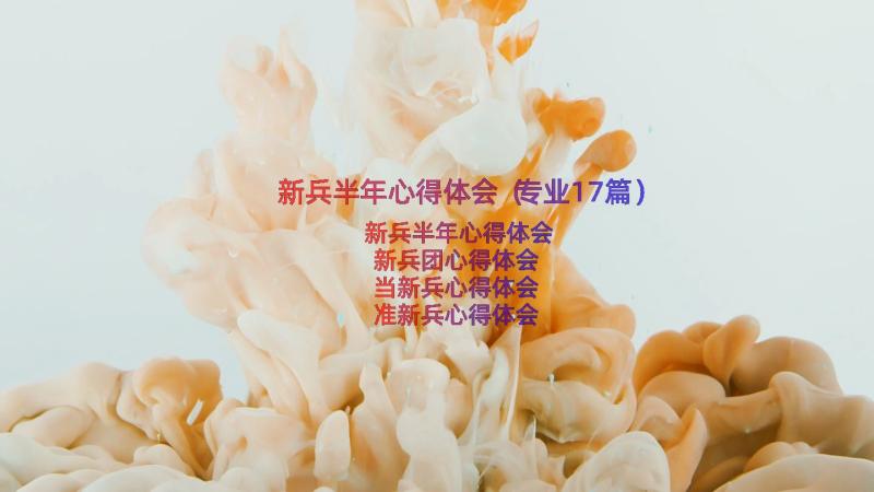 新兵半年心得体会（专业17篇）