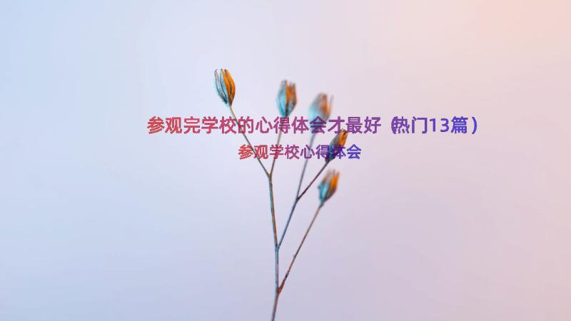 参观完学校的心得体会才最好（热门13篇）