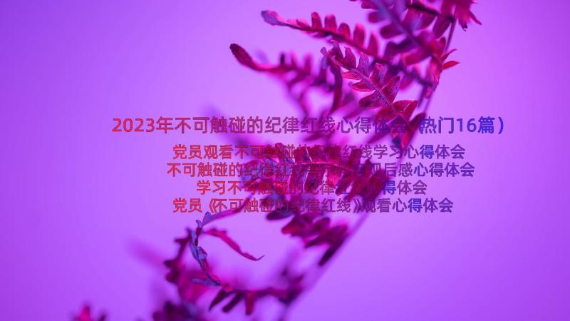 2023年不可触碰的纪律红线心得体会（热门16篇）