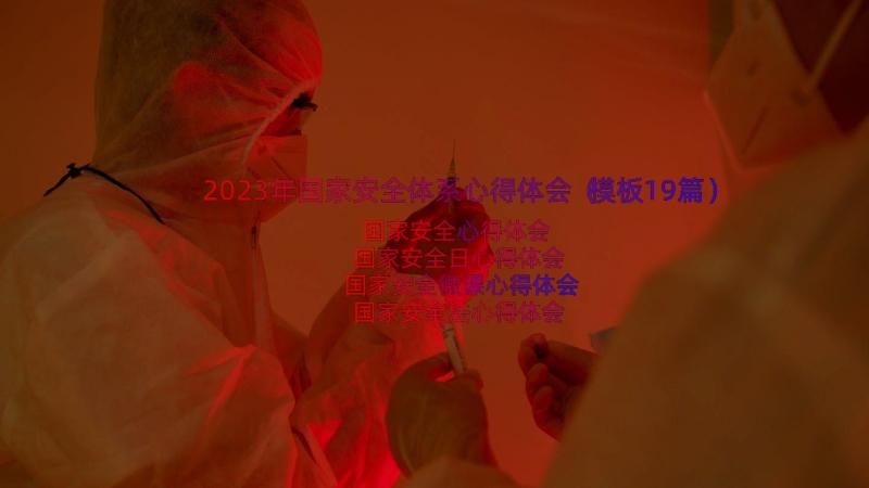 2023年国家安全体系心得体会（模板19篇）