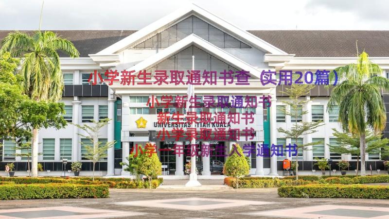 小学新生录取通知书查（实用20篇）