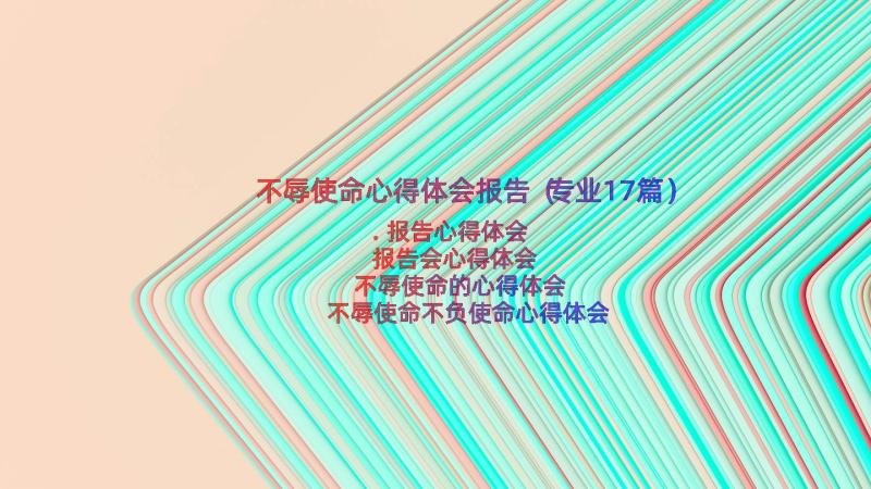 不辱使命心得体会报告（专业17篇）