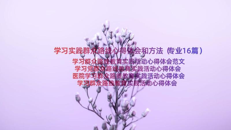 学习实践群众路线心得体会和方法（专业16篇）