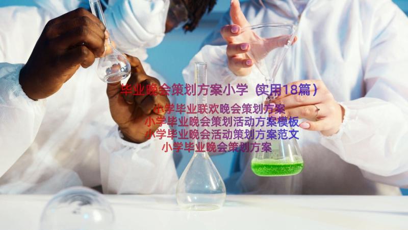 毕业晚会策划方案小学（实用18篇）