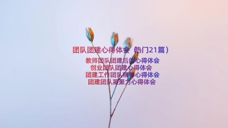 团队团建心得体会（热门21篇）