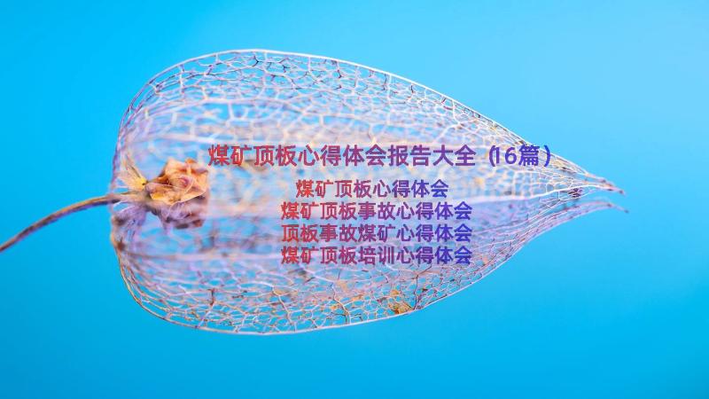 煤矿顶板心得体会报告大全（16篇）