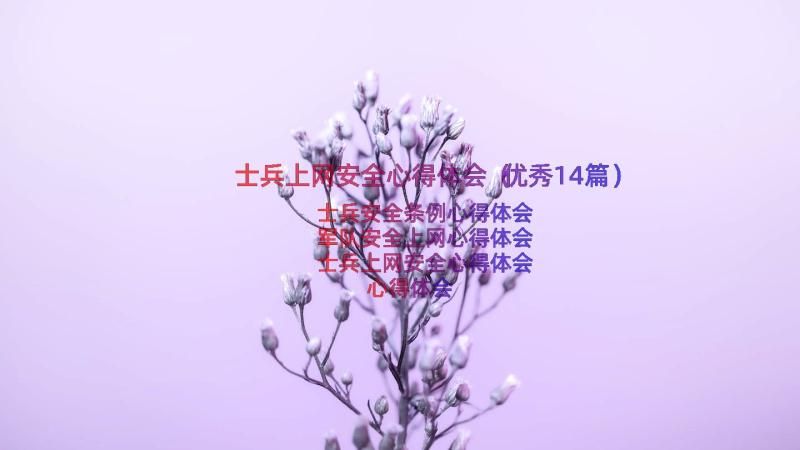 士兵上网安全心得体会（优秀14篇）