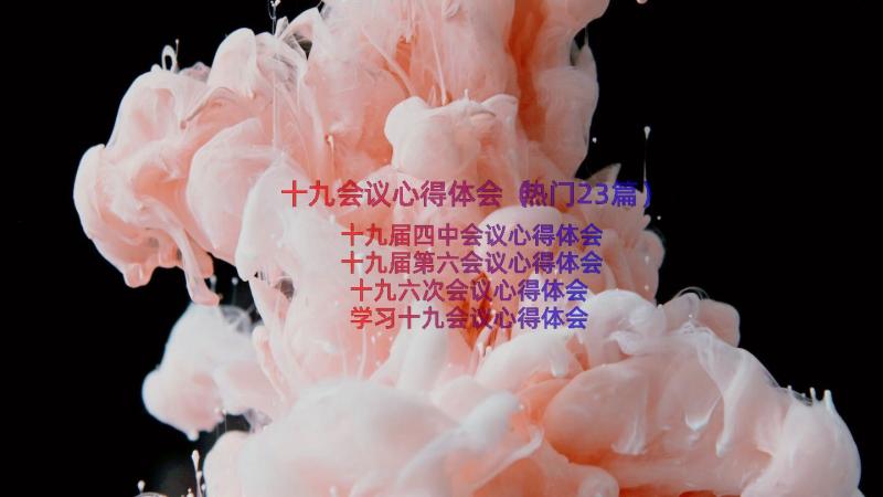 十九会议心得体会（热门23篇）