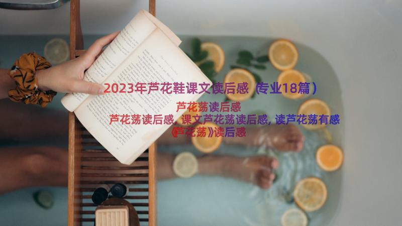 2023年芦花鞋课文读后感（专业18篇）