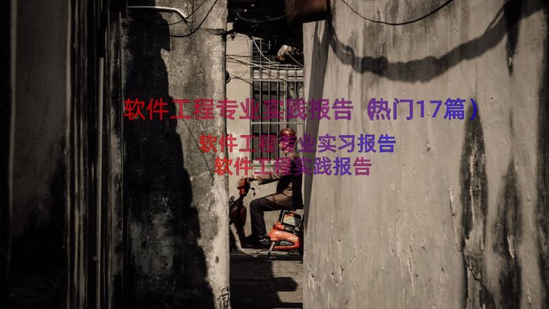 软件工程专业实践报告（热门17篇）