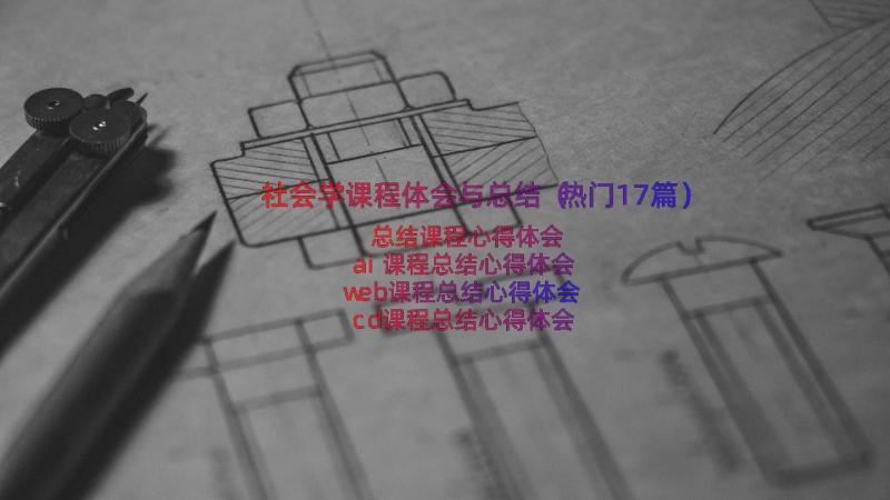 社会学课程体会与总结（热门17篇）