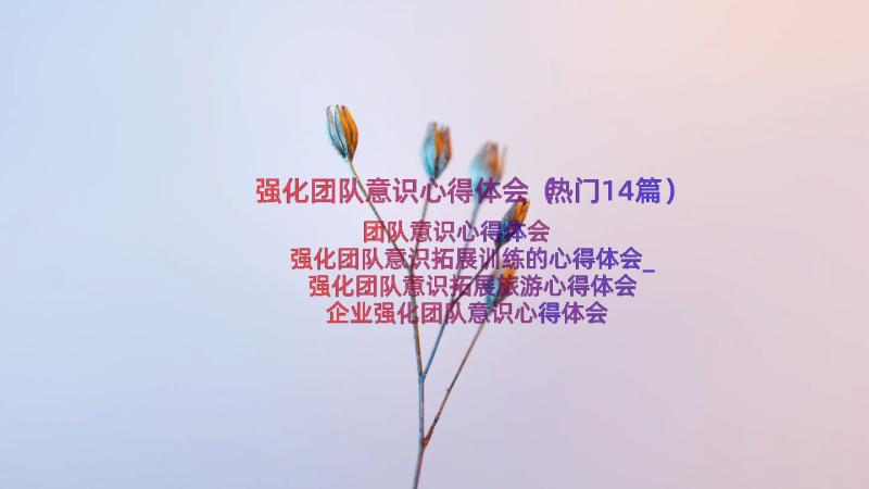 强化团队意识心得体会（热门14篇）