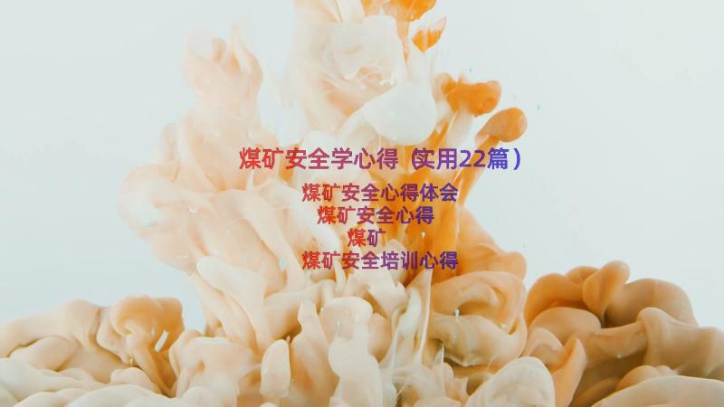 煤矿安全学心得（实用22篇）