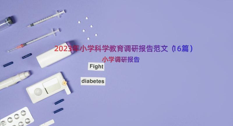 2023年小学科学教育调研报告范文（16篇）