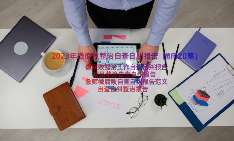 2023年微腐败整治自查自纠报告（通用20篇）