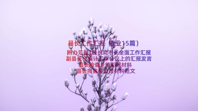 县长工作汇报（专业15篇）